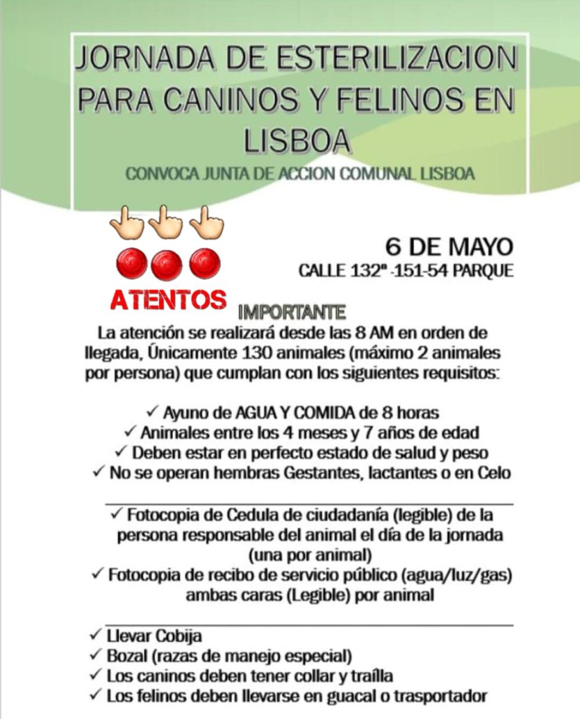 Jornada gratuita de esterilización para perros y gatos en Lisboa este 6 de mayo