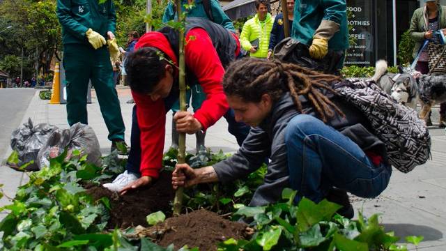 Inició la arborización de la Avenida Novena en Bogotá