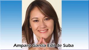 “En movilidad aún se está ejecutando un contrato de 2016, y el de este año apenas está colgado para licitación”: Amparo García