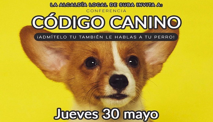 Alcaldía Local de Suba invita a los dueños de mascotas a la conferencia código canino
