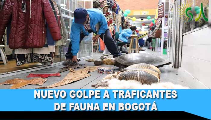 Nuevo golpe a traficantes de fauna en Bogotá