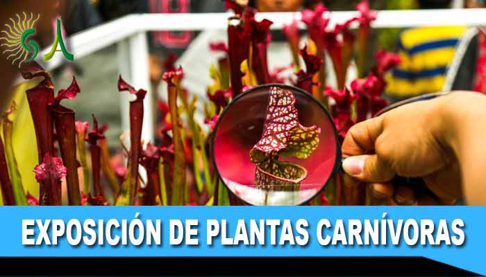 En Bogotá exposición de plantas carnívoras 2019 en el Jardín Botánico