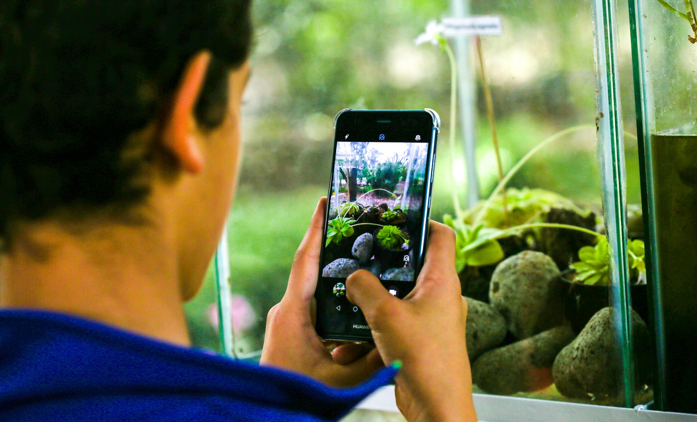 exposicion-plantas-carnivoras_0