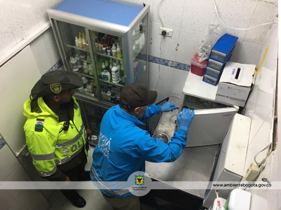 Foto: Secretaria de Ambiente Bogotá