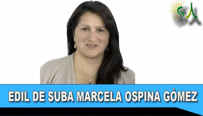 Revisión a la localidad de Suba en temas de movilidad