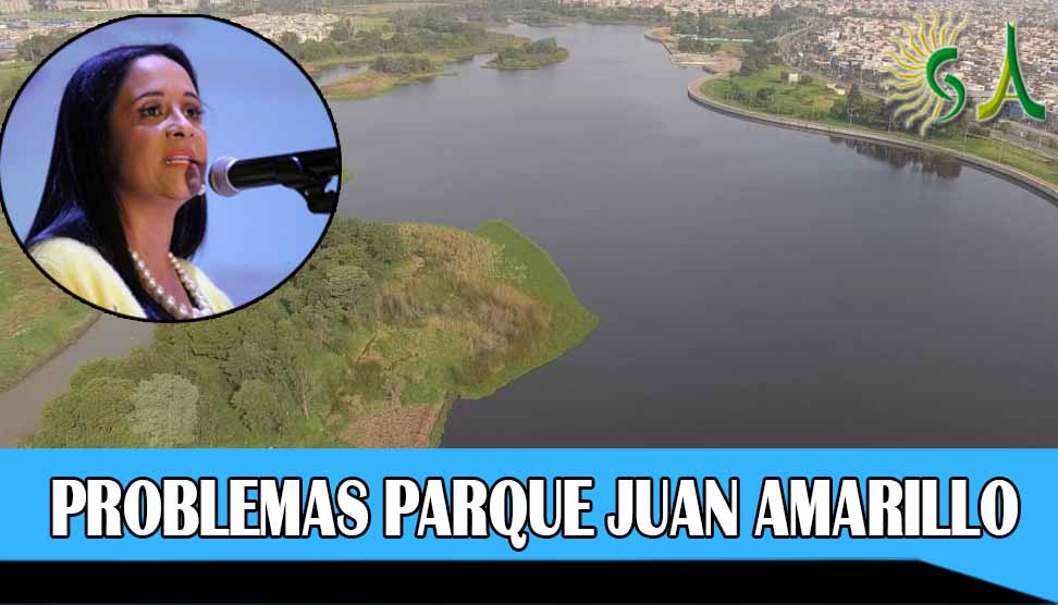 Sin estudios ni diseños comenzaron las obras en el proyecto Parque Juan Amarillo