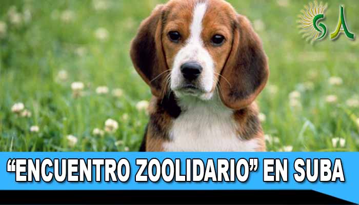 Encuentro “zoolidario en Suba” este sábado 3 de agosto