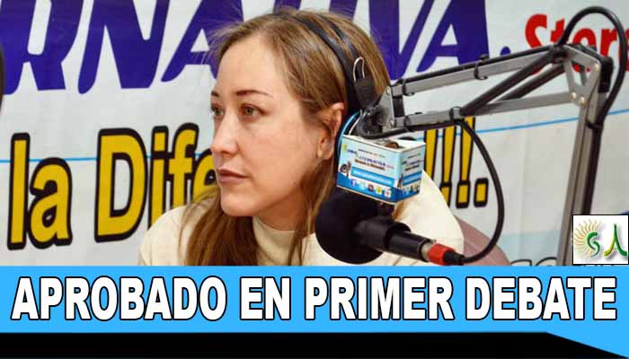 Aprobado en primer debate proyecto de acuerdo que remueve barreras para el goce efectivo del derecho a la educación de personas con discapacidad auditiva en el Distrito Capital