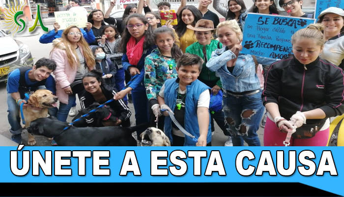 En el Colegio Delia Zapata Olivella necesitan comida urgente