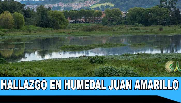 Macabro hallazgo de un cuerpo sin vida en el humedal Juan Amarillo en Suba.