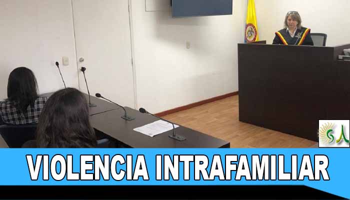 Un nuevo sistema resuelve con rapidez casos de violencia intrafamiliar en Bogotá