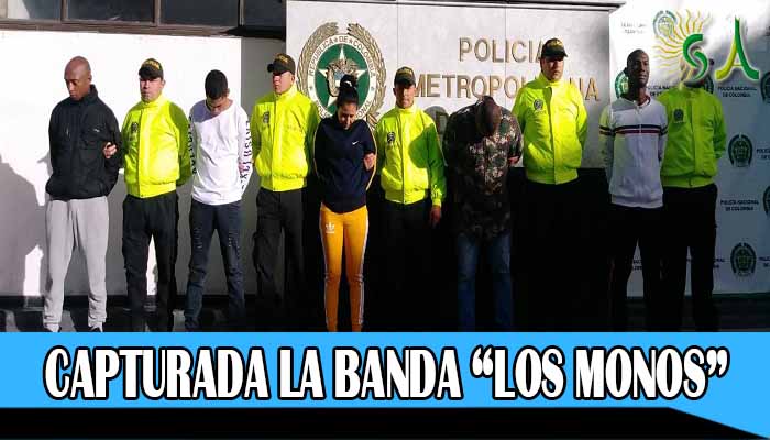 Desarticulada banda ‘los monos’ señalados de tráfico de estupefacientes y de homicidio