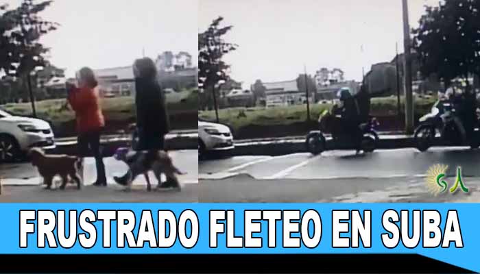 Inseguridad no da tregua en Suba: Frustrado un fleteo, detenidos dos delincuentes