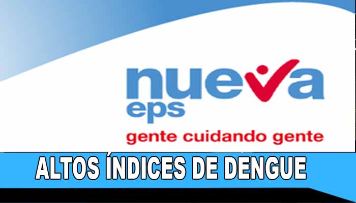 2019 el año de la proliferación del dengue