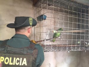 operativo de espacio público en el sector de Santa Cecilia Suba