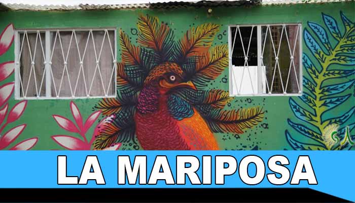 La Mariposa abrió sus alas para llenar de color siete barrios y ser un nuevo símbolo de Bogotá