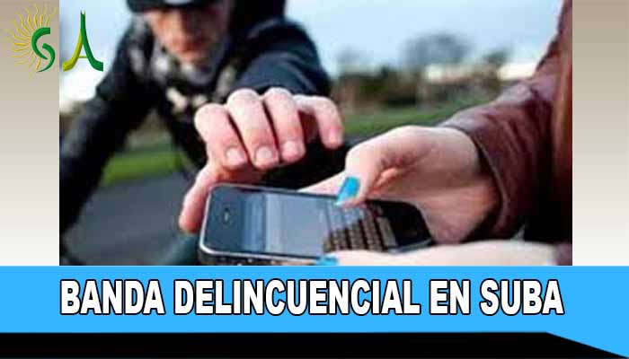 Alerta en Suba!!!!!, así roba una banda de venezolanos en Bilbao, esté atento, no de papaya!!!!