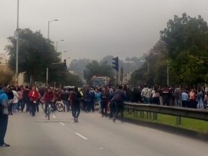 Suba Alternativa