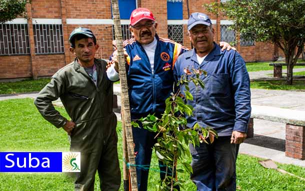 El guardián de los árboles de la localidad de Suba