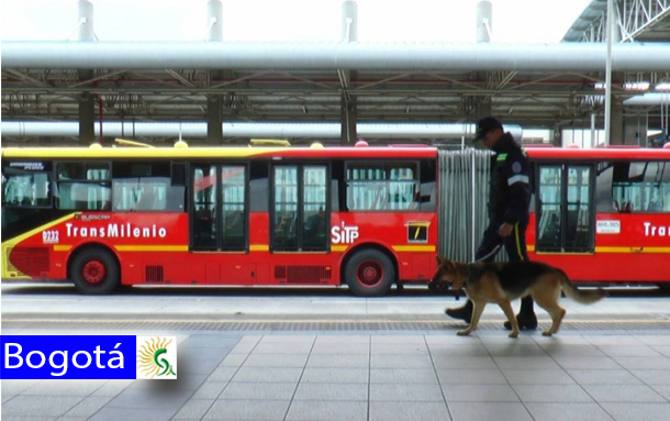 Confirmado: ¡adiós a perros 'anticolados' en TransMilenio!