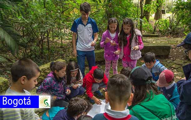 Vacaciones científicas en el Jardín Botánico: ¡un viaje al conocimiento!