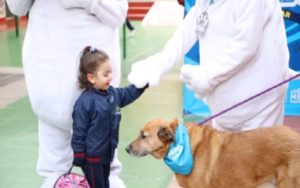 Atención colegios: Estudiantes pueden prestar servicio social cuidando a animales