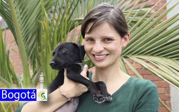 Por primera vez en Bogotá los animales tendrán una línea de inversión en las Alcaldías Locales