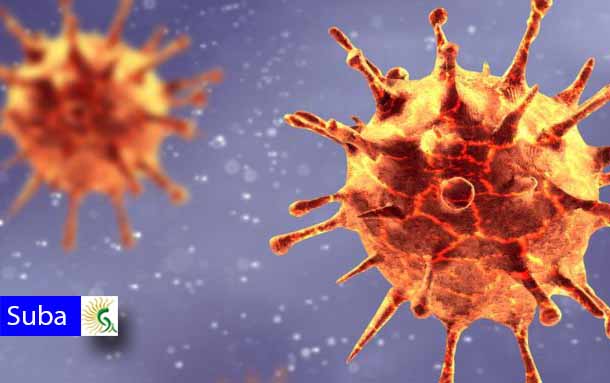 Suba supera este jueves los 800 infectados por coronavirus