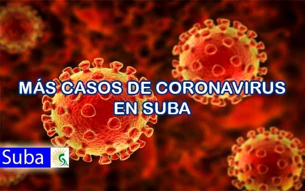 ¡Ojo! Este Domingo Suba supera los 2.540 infectados por covid-19; van más 50 muertes