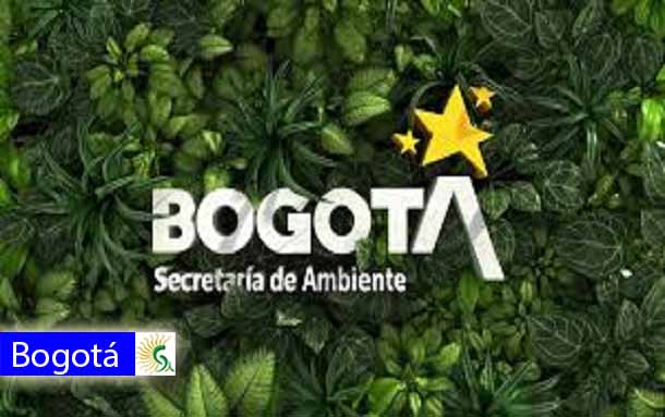 Dos negocios sostenibles validados por la Secretaría de Ambiente, nominados a los premios Latinoamérica Verde