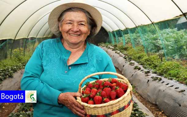 ‘Mercatón Campesina’ prepara su segunda versión para octubre