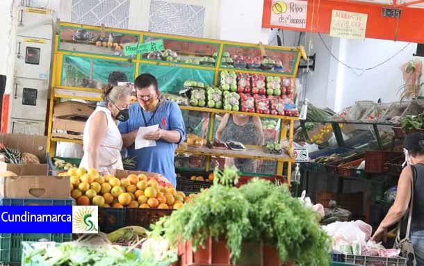 Campesinos de la región central venderán mercados por internet