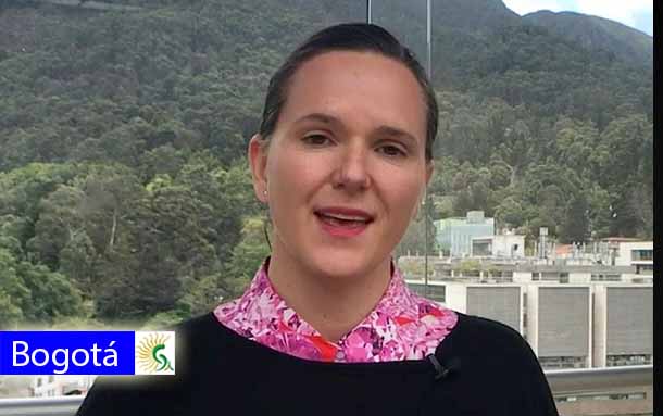 Información y autoridad, estrategia para frenar a los tierreros: Secretaria de Ambiente