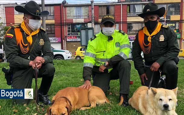 Osito y Pudín, regresaron al CAI de Villas de Granada, luego de que se extraviaran tras los hechos vandálicos el 9 de septiembre
