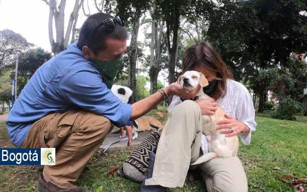 Hoy es el Día Mundial del Perro Adoptado, una celebración que tiene la intención de crear conciencia sobre la importancia de adoptar perros en vez de comprarlos