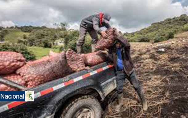 Paperos de Cundinamarca enviarán ayudas a los damnificados de San Andrés y Providencia