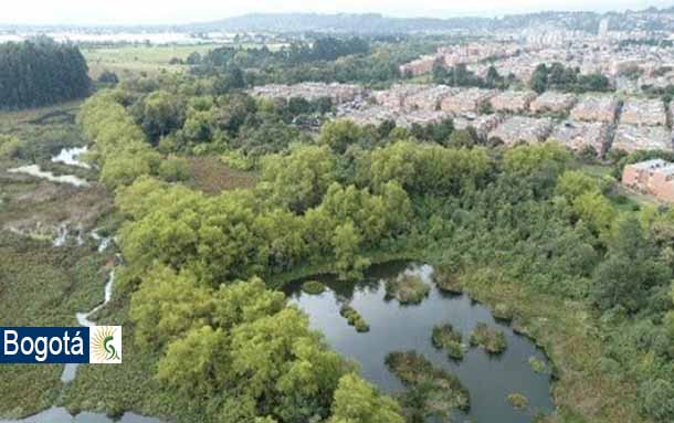 Desde este martes Secretaría de Ambiente habilita el ingreso a humedales