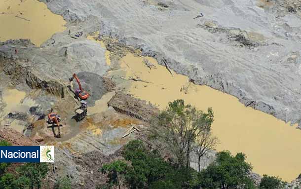 La Fiscalía General de la Nación y la Policía Nacional capturaron a 9 personas responsables de la destrucción ambiental