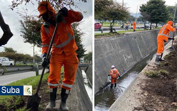 Se realiza limpieza del Canal Transversal de Suba para evitar inundaciones