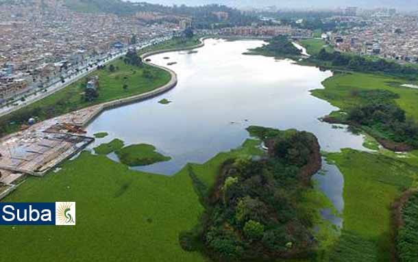 La JAC del barrio Corinto de Suba, urge por mayor seguridad en la ronda del espejo de agua por presencia de bandas de microtráfico y atracadores