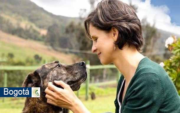 Concejal Andrea Padilla: Un año cumpliéndoles a los animales