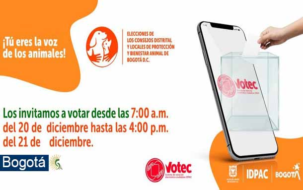 Iniciaron las votaciones a los Consejos Distrital y Locales de Protección y Bienestar Animal de Bogotá D.C.