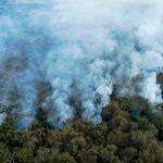Secretaria de Ambiente: Los incendios forestales deterioran la calidad del aire