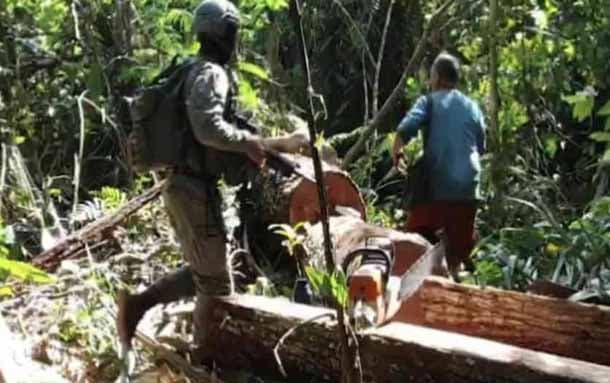 Judicializado uno de los mayores deforestadores de la Sierra de la Macarena