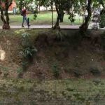 Se intervendrán solo 16 árboles en Parque El Virrey para obras de mitigación