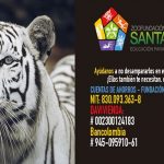 “Vamos todos al zoológico”, campaña de protección y conservación animal de la Zoo Fundación Santacruz y Suba Alternativa