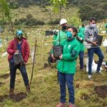 Distrito y comunidad multiplican sus fronteras verdes con diez mil nuevos árboles para Bogotá