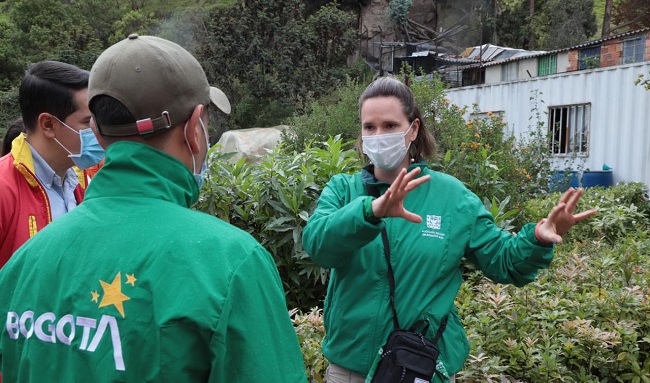 Secretaría de Ambiente prepara más de 228.000 árboles para reverdecer a Bogotá