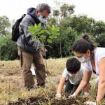 Más de 130 árboles se plantaron en el humedal La Conejera en Suba