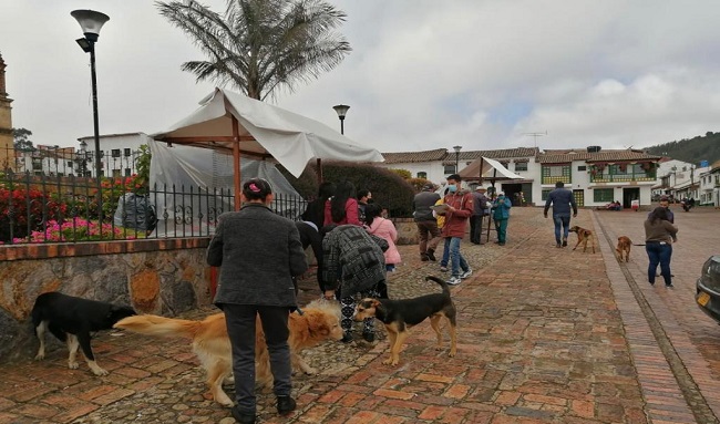Jornada de Vacunación Antirrábica Canina y Felina continúa recorrido por Boyacá en el mes de julio